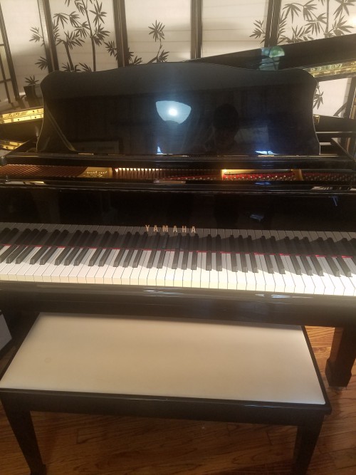 (VIDEO) Yamaha Grand Piano G1 5'3