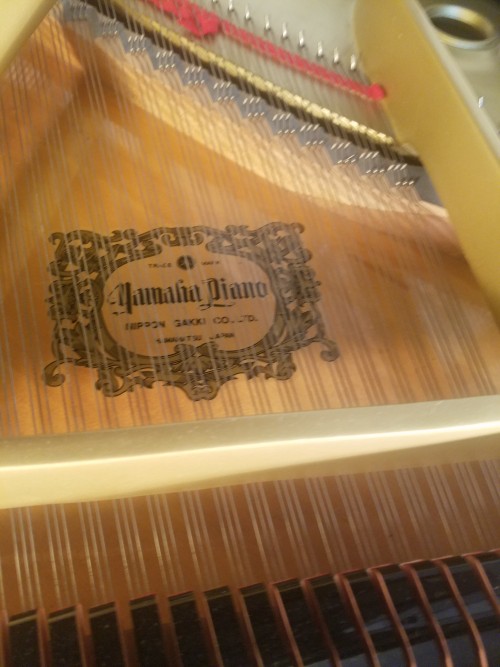 (VIDEO) Yamaha Grand Piano G1 5'3