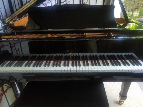 (CONGRATULATIONS TERRY & WIFE)  Weber Grand Piano Ebony Gloss 5'7
