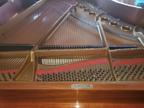 Steinway Grand Piano Model M Walnut 1915  