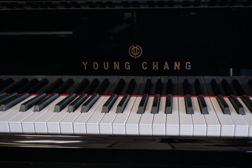 (SOLD)Pramberger-Young Chang Player Piano 2002 5'3