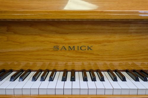 (SOLD) SAMICK 