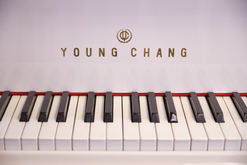 Young Chang White Gloss 1988 5'1