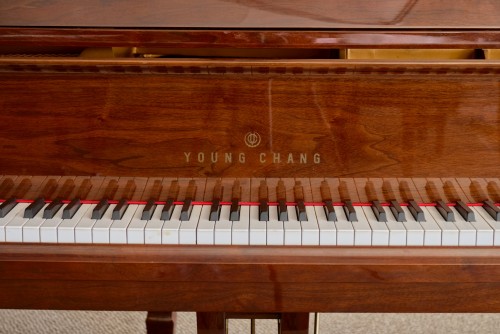Young Chang GORGEOUS Walnut Grain, 4'11 1989 $4900.