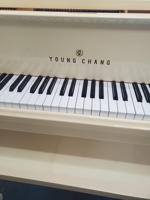 (SOLD)Young Chang Ivory/White Gloss 1985 4'11