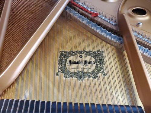Yamaha GC1 Grand Piano 5'3