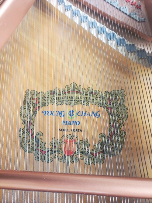 (SOLD) Young Chang/Pramberger Grand Player Piano 6'1