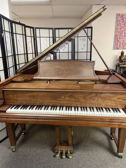 Steinway Grand  DUO ART PLAYER PIANO Model OR 6'4