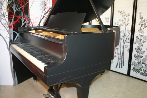 Steinway M  Grand Piano $10,500 (VIDEO) Ebony 1920 New Steinway Hammers all else excellent Original Parts.