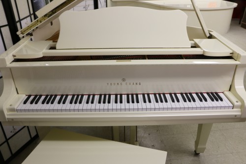 White Gloss Ivory Baby Grand Young Chang 5'2