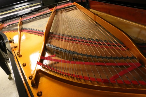 (BLOWOUT) Bechstein Grand Piano 6'11