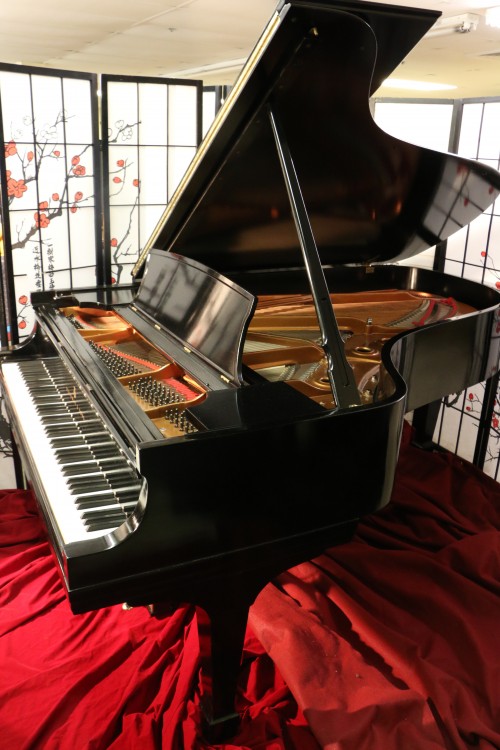 (SOLD) Steinway B Grand Piano 1982 (VIDEO). Recent  Rebuild & Refinish Semi-Gloss Ebony