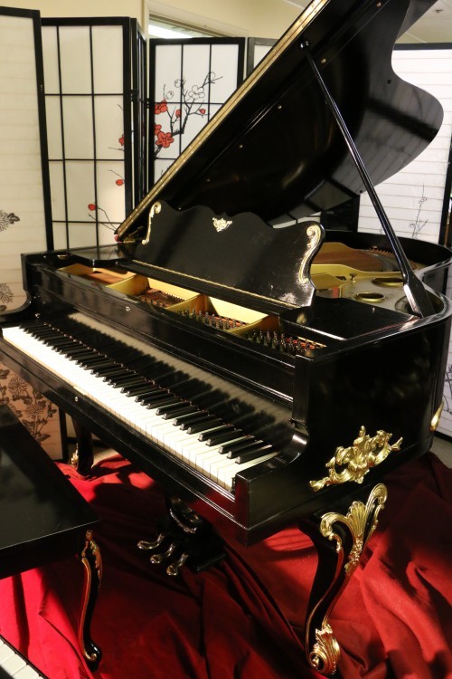 Piano Player Systems:Sonny's Player Pianos Demo! Install a PianoDisc Prodigy Player System into a Steinway or Art Case Piano Today!