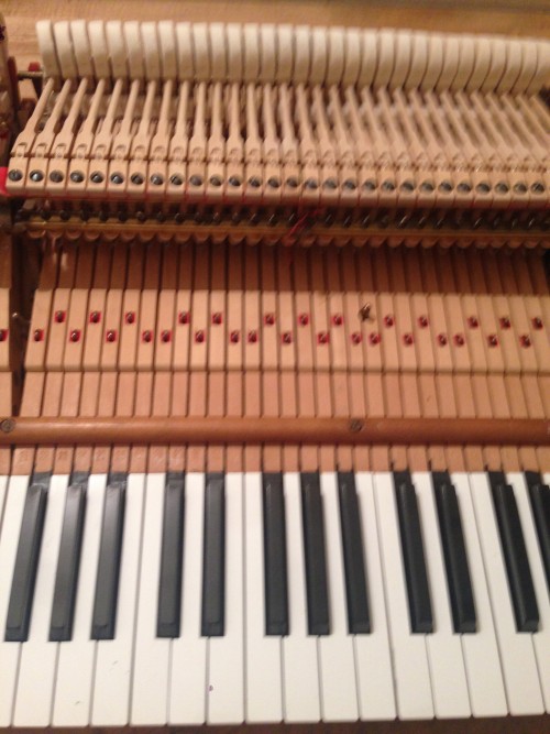 Steinway B 1947 Recent Total Rebuild Spectacular Instrument for Professional Muscian or Venue $49,000