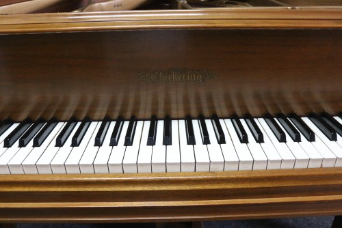 (SOLD) Chickering Baby Grand Piano 5'1 1964 Excellent Walnut