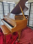 Steinway M 1989 Grand Piano 5'7
